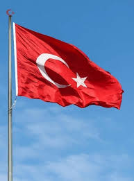 Blumen hintergrund iphone tumblr hintergrund hintergrund ideen türkische flagge istanbul türkei süße fotos fahnen schöne landschaften Die Turkei Flagge Hintergrundbilder Fur Android Apk Herunterladen