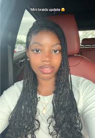 Petite Ebony Braids