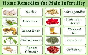 Ayurvedic Home Remedies For Male Infertility - Dr Chanchal Sharma
