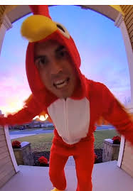 Gallos Cantando La Mañana