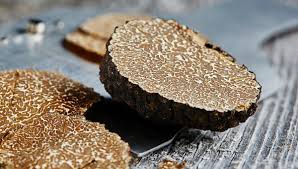 Photo La truffe : pisode 37/11 du podcast Dans mon panier je mets ...