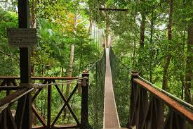 Located in pahang, this is the oldest tropical rainforest in the world. Taman Negara National Park Eastravel Aito