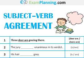 We often use singular nouns that refer to groups of people (for example: Subject Verb Agreement Rules Examples Exercises Examplanning
