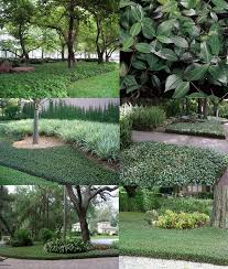 Pin On Garden