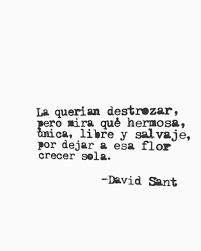 Me Querian Destrozar Pero Me Dejaron Unica Libre Y Salvaje Frases Bonitas Frases Motivadoras Frases Sabias