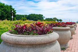 Check spelling or type a new query. 282 Large Planters Photos Free Royalty Free Stock Photos From Dreamstime
