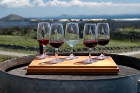 Resultado de imagem para vinho vinícola