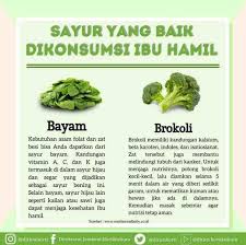 Bayam menjadi salah satu sayuran yang paling mudah dikonsumsi karena bisa diolah menjadi berbagai makanan. Sayur Yang Baik Dikonsumsi Ibu Hamil Atmago