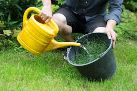 Naturlicher Pflanzenschutz Garten Diybook Pflanzen Pflanzenschutz Unkraut Im Garten