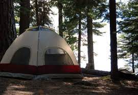 11 Glorious Campgrounds In Northern California Where No Reservation Is Required Best Places To Camp California Camping Camping In North Carolina