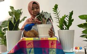 Sebenarnya selain menanam pokok di dalam pasu, tumbuhan jenis menjalar juga mempunyai daya tarikan tersendiri. Indoor Plants Jadi Trend Hiasan Dalam Rumah Free Malaysia Today Fmt
