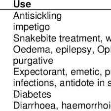 Image result for Lannea welwitschii