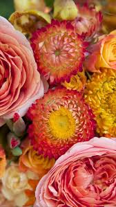 With tenor, maker of gif keyboard, add popular aesthetic pink animated gifs to your conversations. 1001 Ideas For Floral Background To Decorate Your Screen With
