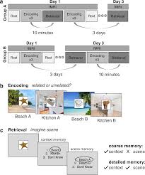 Image result for training effect schema