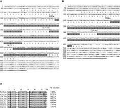 The smsf annual return is the same for smsfs as for individuals on 30th june. Https Www Frontiersin Org Articles 10 3389 Fpubh 2021 620875 Https Www Frontiersin Org Files Articles 620875 Fpubh 09 620875 Html Image M Fpubh 09 620875 G003 Jpg Figure 3 Coronavirus Cases And Deaths Source Authors Calculations Based On