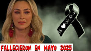 Raysa Hidalgo's Instagram, Twitter & Facebook