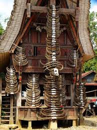 Buffalo horns decorate tongkonan