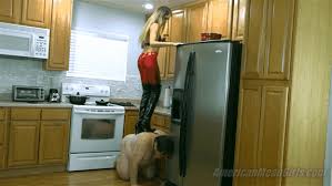 The Mean GIrls - Princess Beverly - Slaves Don't Eat (1080 HD) | Download  Femdom Watch Online Tube Strap-On and Sissy XXX Clips