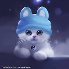 Cute White Hat Cat Display Picture Cute Anime Cat Cute Cat Wallpaper Cat Wallpaper