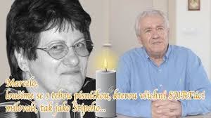 David Sevcik, Autor na Vaškův blog...