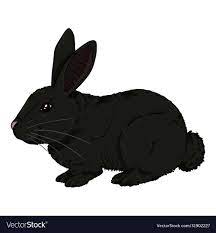 Black rabbit cartoon
