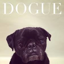 Hamilton Pug Dougue Magazine Pug Love Pug Pictures Pugs