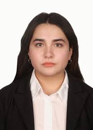 The Americas Youth Network Members