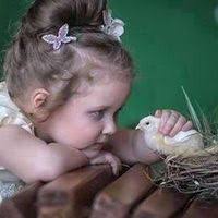 PDF) Effect of Lactoferrin Administration