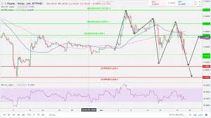 Ripple Xrp Price Analysis Nov 21 Is Xrp The Ultimate Hedge