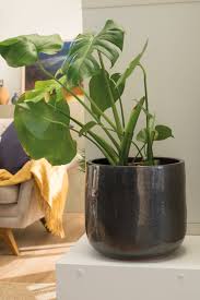 Fabric, foam, zippers, cording, and even our thread, are all made by american manufacturers. Pin On Living Room