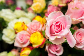 Order a fresh fruit basket, chocolate, balloons or flowers for our memphis gift basket company and flower shop local florist offers the world's largest selection of handcrafted gift baskets and flower for same day. Bartlett Flower Shop Gift Cards Tennessee Giftly