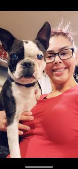 Friends Of The Odessa Animal Control