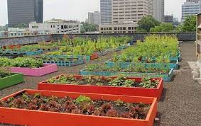 Pin On Public Gardening