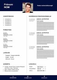 Tipos y modelos de curriculum vitae que quizás no conozcas + ejemplos de cv. Plantilla De Cv En Frances Descarga Gratis Curriculum Word