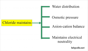 Chloride Blood Chloride Cl Labpedia Net