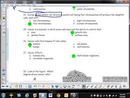 Meiosis can be a difficult concept to understand because it is a reduction division that results in unique gametes due to crossing over that. Mitosis And Meiosis Worksheet Answer Key Akademiexcel Com
