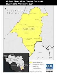 On 14 february 2021, national authorities declared an ebola virus disease (evd) european centre for disease prevention and control. 2021 Guinea N Zerekore Prefecture Ebola Ebola Virus Disease Cdc