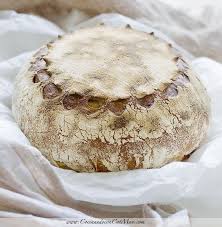 Receta De Pan Blanco Con Masa Madre Como Hacer Pan En Casa Cocinando Con Catman Recetas De Pan Pan Blanco Recetas Como Hacer Pan
