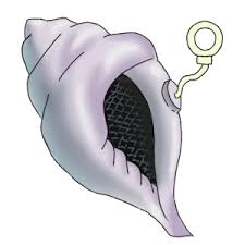 The mystic conch shell is a sassy decision maker / fortune teller. Magic Conch Shell Apprecs