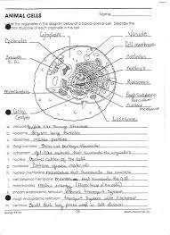 Experiencing, listening to the other experience, adventuring, studying, training. C E L L S T R U C T U R E S W O R K S H E E T S A N D A N S W E R S Zonealarm Results