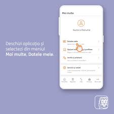 Proasta decat cea de la bt. Ing Romania Cum IÈ›i Actualizezi Datele Personale In Home Bank Facebook