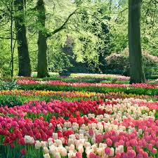 Check spelling or type a new query. World Love Flowers Home Facebook