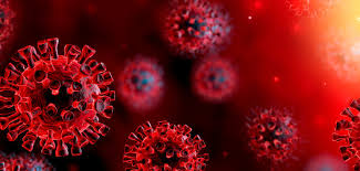 Avoid exposing the elderly and people with underlying health conditions to the virus. Hiv Emerges As Risk Factor For Covid 19 Death In South Africa Poz