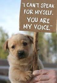 Ending Animal Abuse Is My One True Passion Animals Animal Abuse Animal Rights Quotes