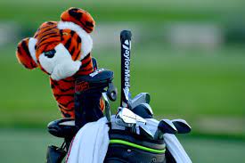 Tiger Woods Returns To Torrey Pines To Face Strong Field Strong Course