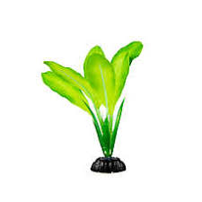 We did not find results for: Fish Tank Accessories Aquarium Decor Petsmart