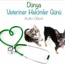 .kutlanmasını kararlaştırmış, ilk kez 28 nisan 2001 günü dünya ülkeleri ile birlikte dünya veteriner hekimleri birliği üyesi olan türk veteriner hekimleri birliği tarafından organize edilerek kutlanmıştı. T C Sarkoy Belediyesi Twitterren Hayvan Sagligi Ve Refahinin Iyilestirilmesi Her Daim Halk Sagliginin Korunmasi Amaciyla Fedakarca Calisan Veteriner Hekimlerimizin Dunya Veteriner Hekimler Gunu Kutlu Olsun Https T Co Orcp1mnrze