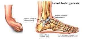 We did not find results for: Just Another Rolled Ankle The Healthy Body Company