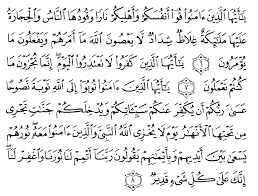Yea ayyuheallazeena eamanoo koo anfusakum va ahleekum nearan vaakooduhean neasu val hicearatu aalayhea maleaikatun gıleazun shideadun lea yaa'soonaalleaha mea amarahum va yaf'aaloona mea yu'maroona. At Tahrim Alqur Anmulia