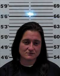 COUPLE ARRESTED, ACCUSED OF SEX CRIMES INVOLVING CHILDREN